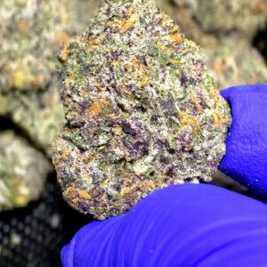 Birthday Cake (Indica)