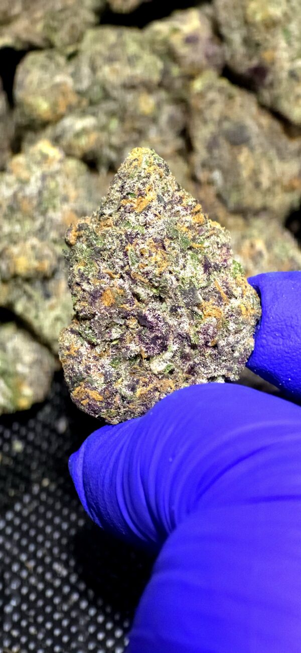 Birthday Cake (Indica)