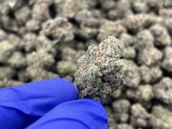 Frosted Kush (GH)