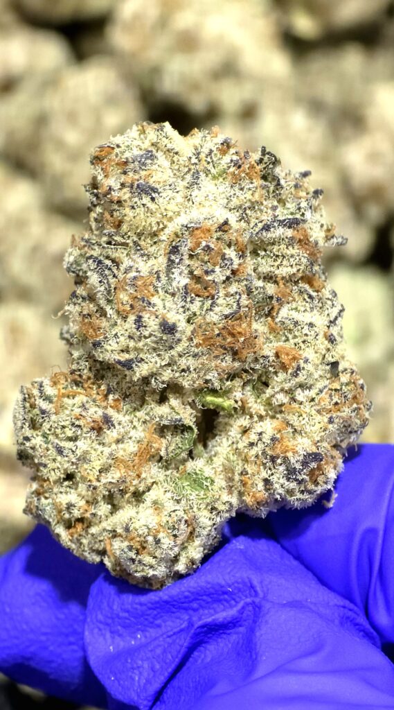 Tyson (Indica) – 34.91% THCA